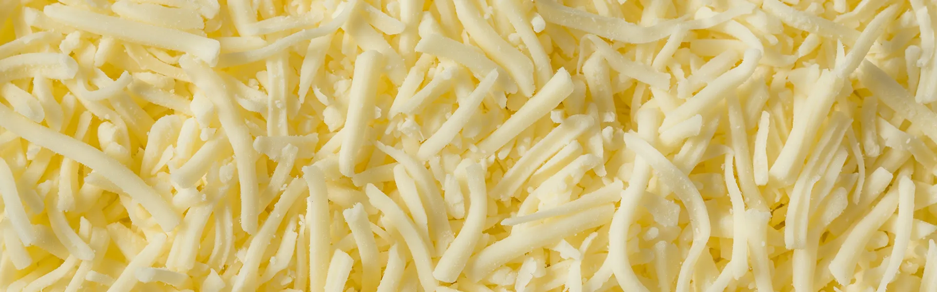 Formaggi