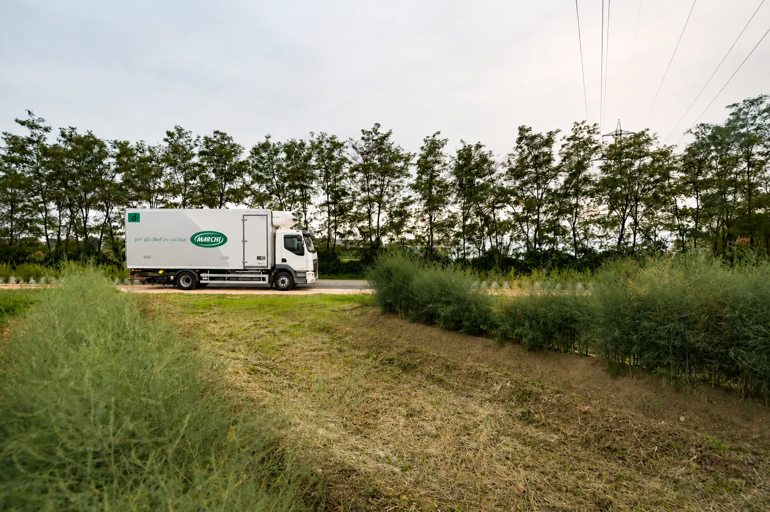 Camion Marchi